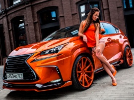 Lexus NX F Sport (click to view)