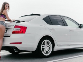 Skoda Octavia (click to view)